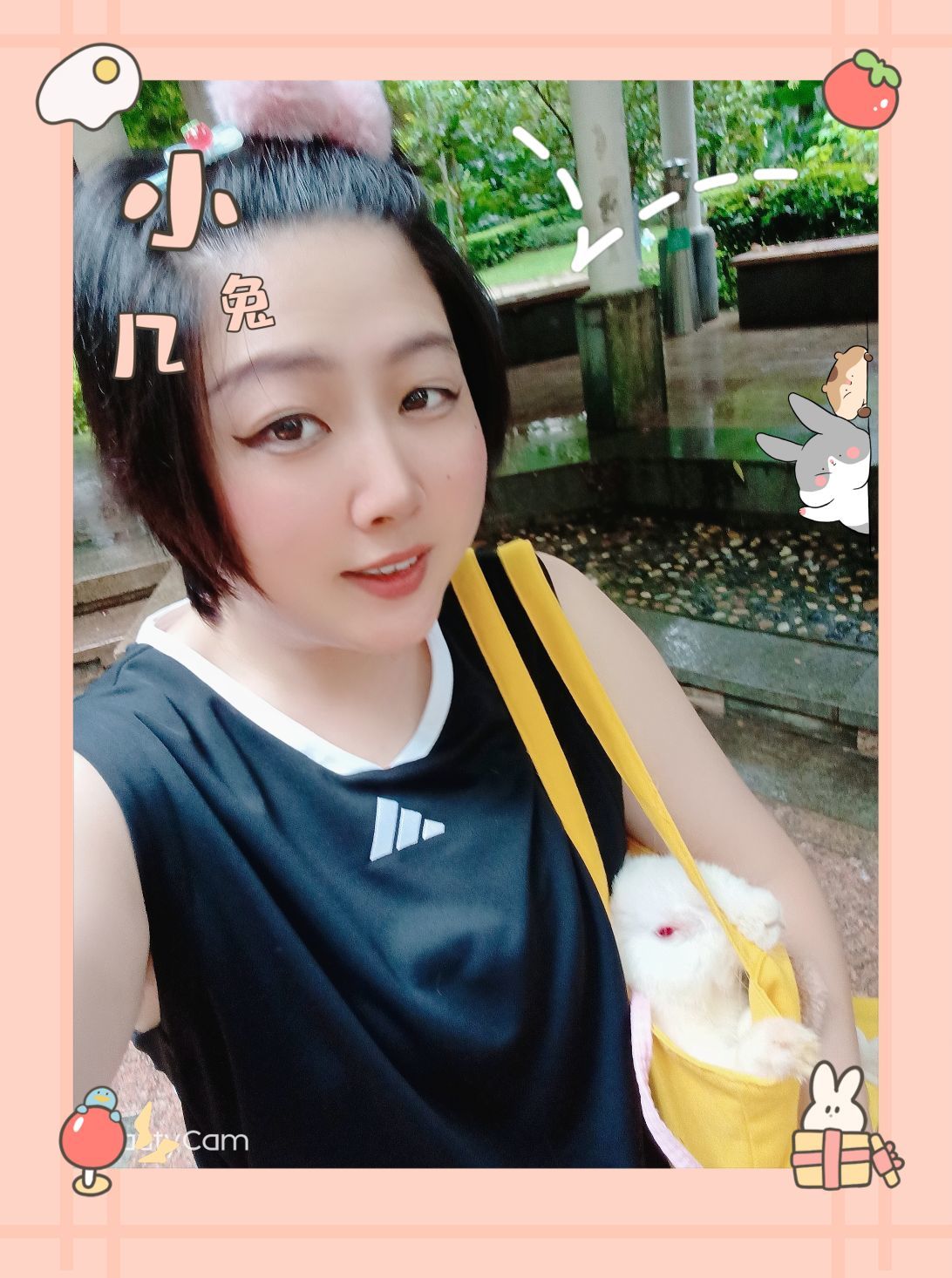 甜甜私房猫_的图片