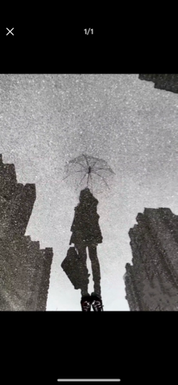 冰冰🍎饿死了海报