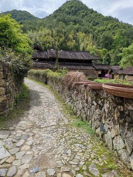 小谢农村田园生活的图片