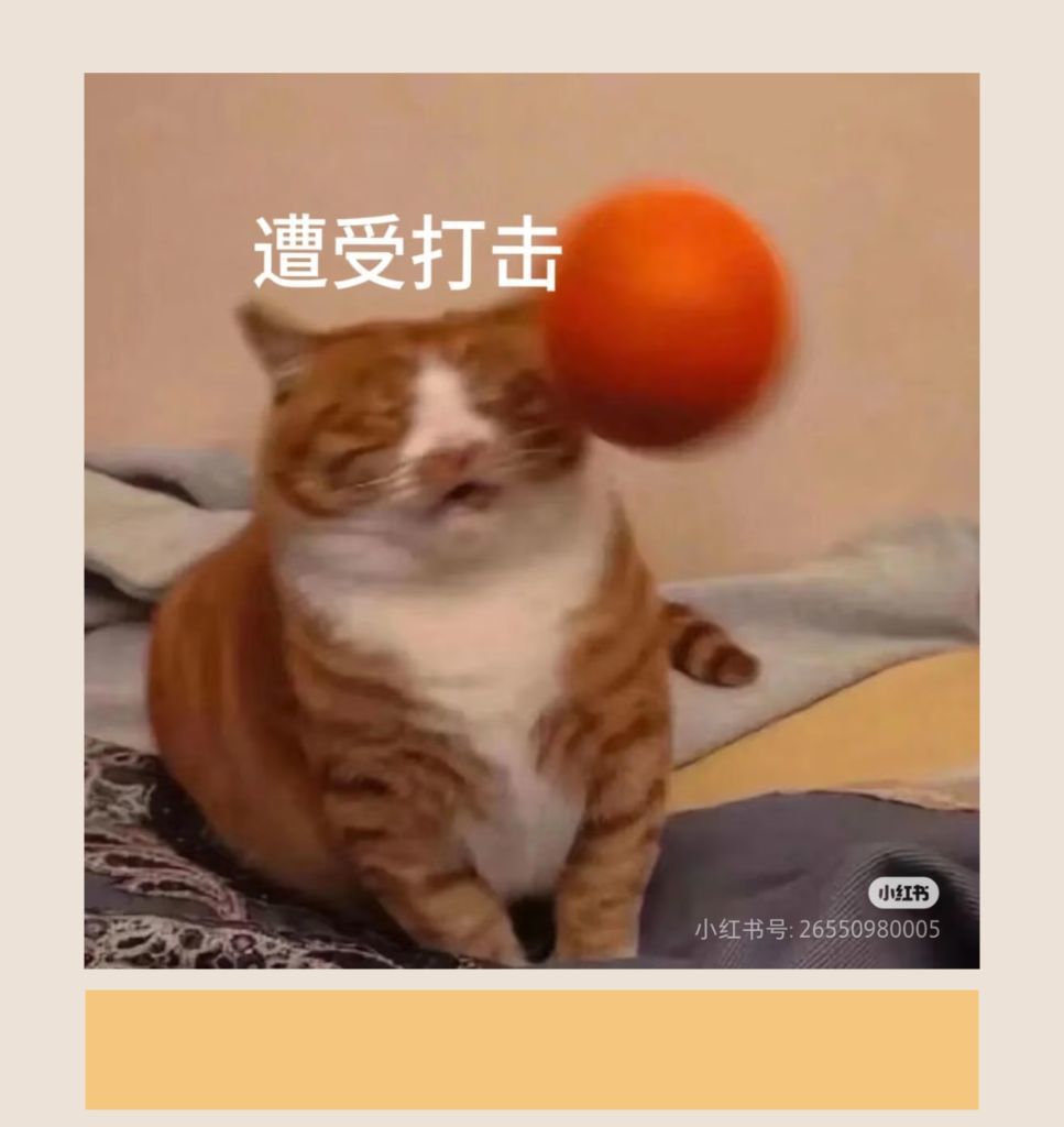 新人莳悦的图片