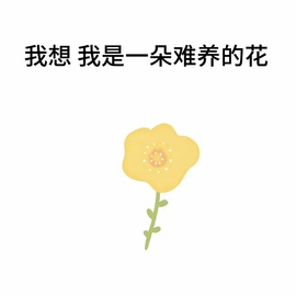 嘉璐•主播照片