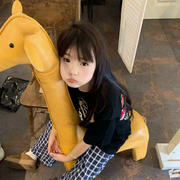 新人-圈圈