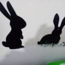 手xy