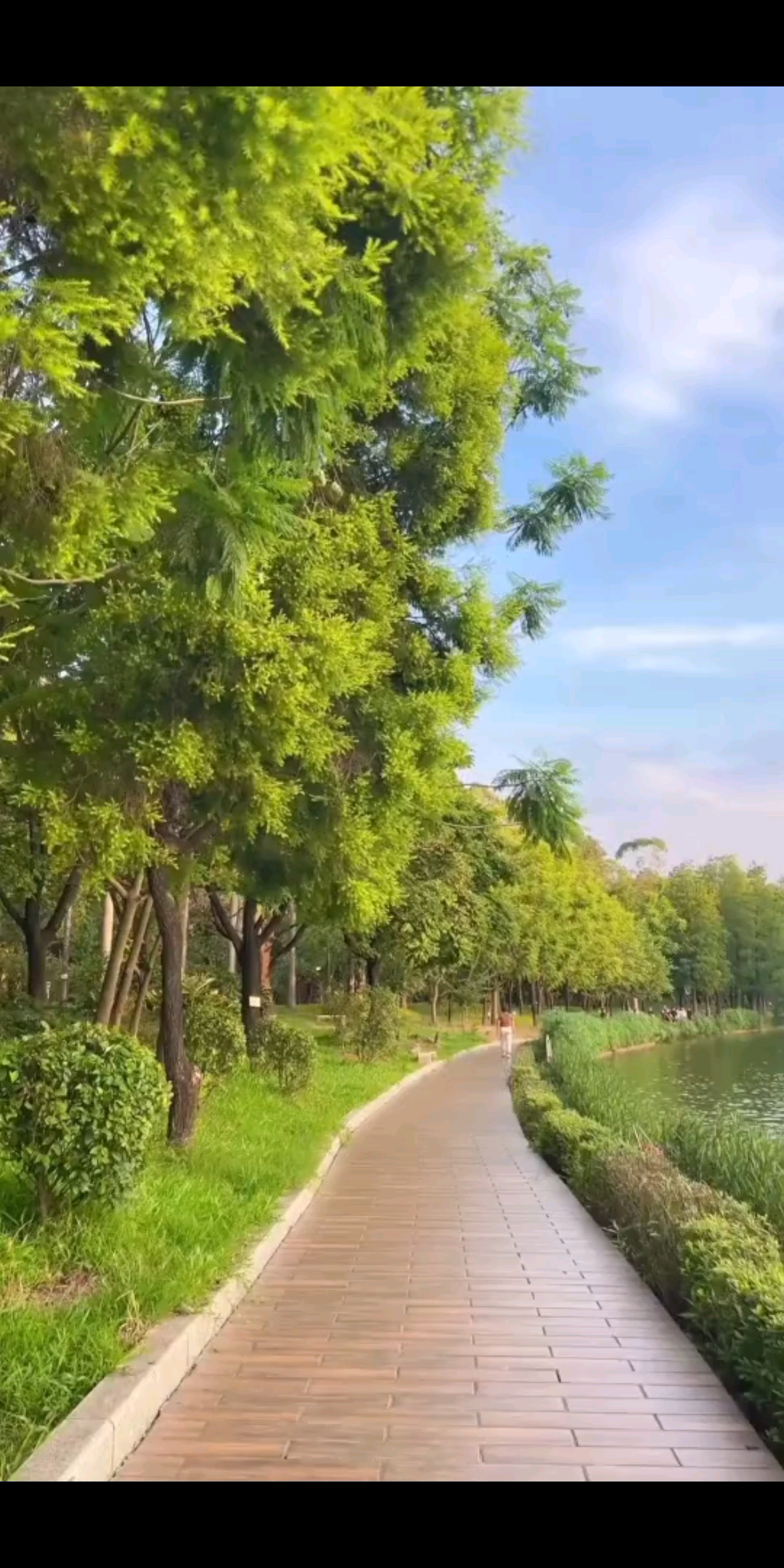 手机里的天空~