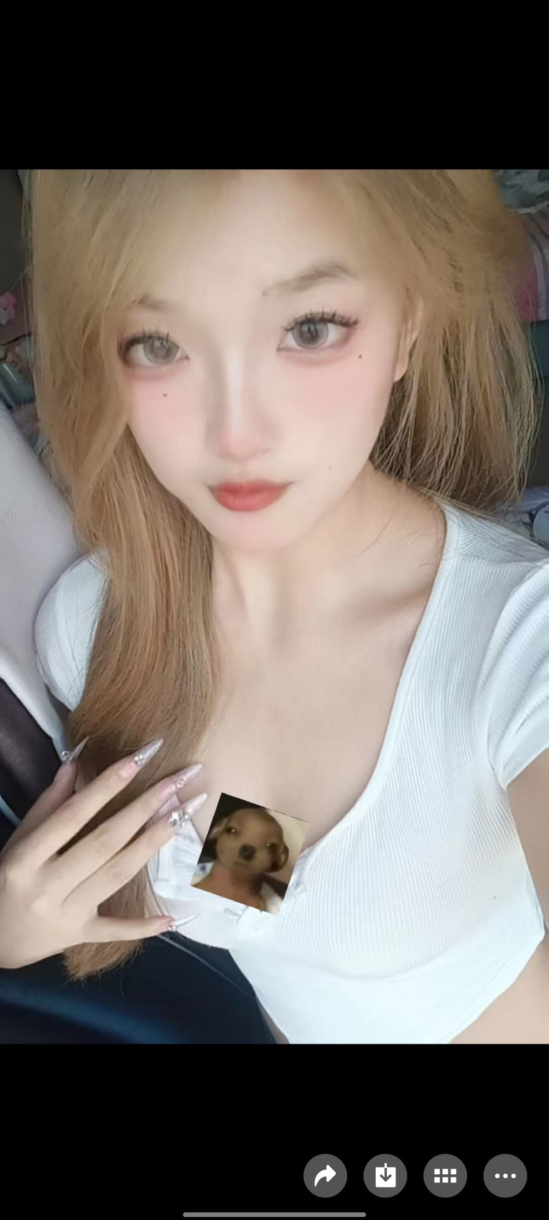 新人猫九🐾加油鸭~主播图片
