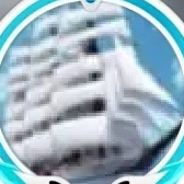 重新启航.*