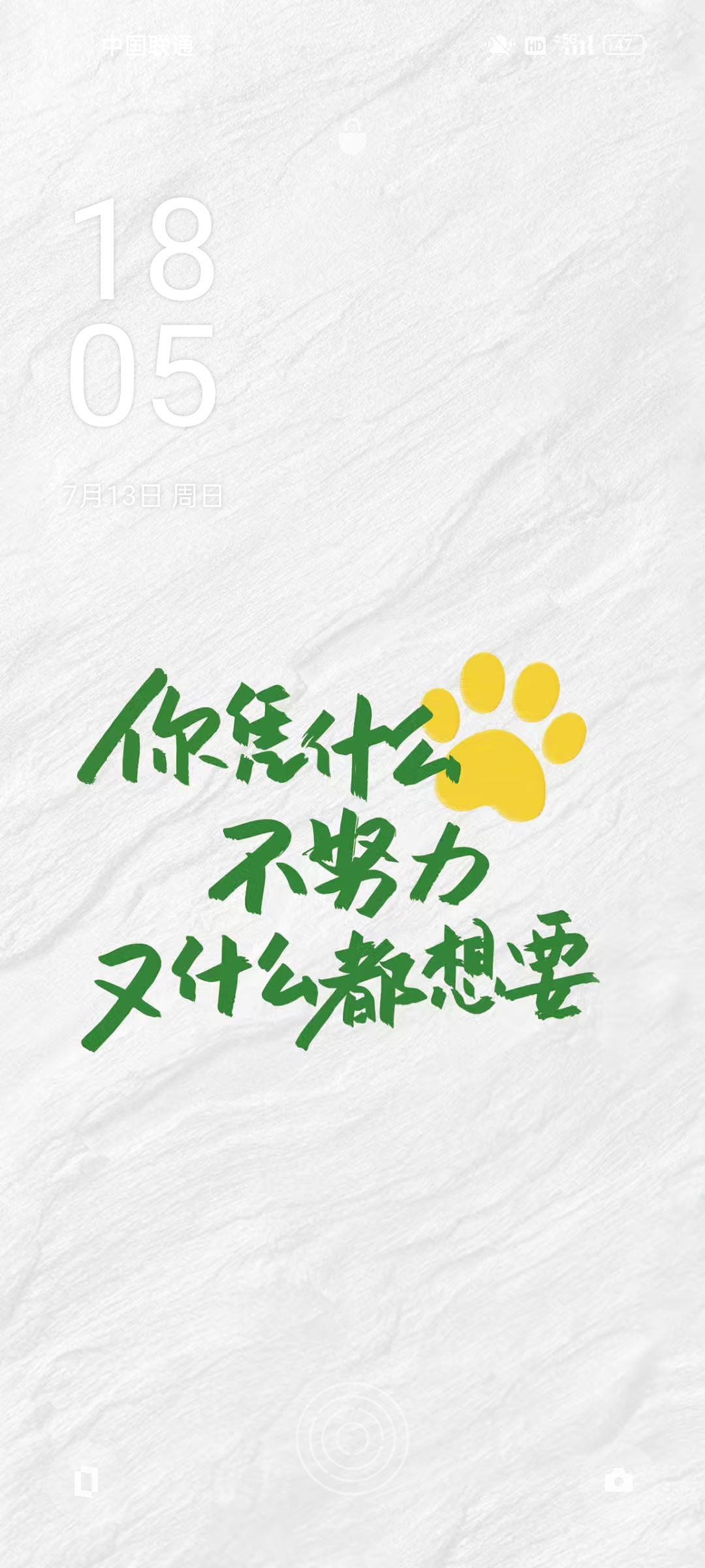 茶茶19号周年的图片