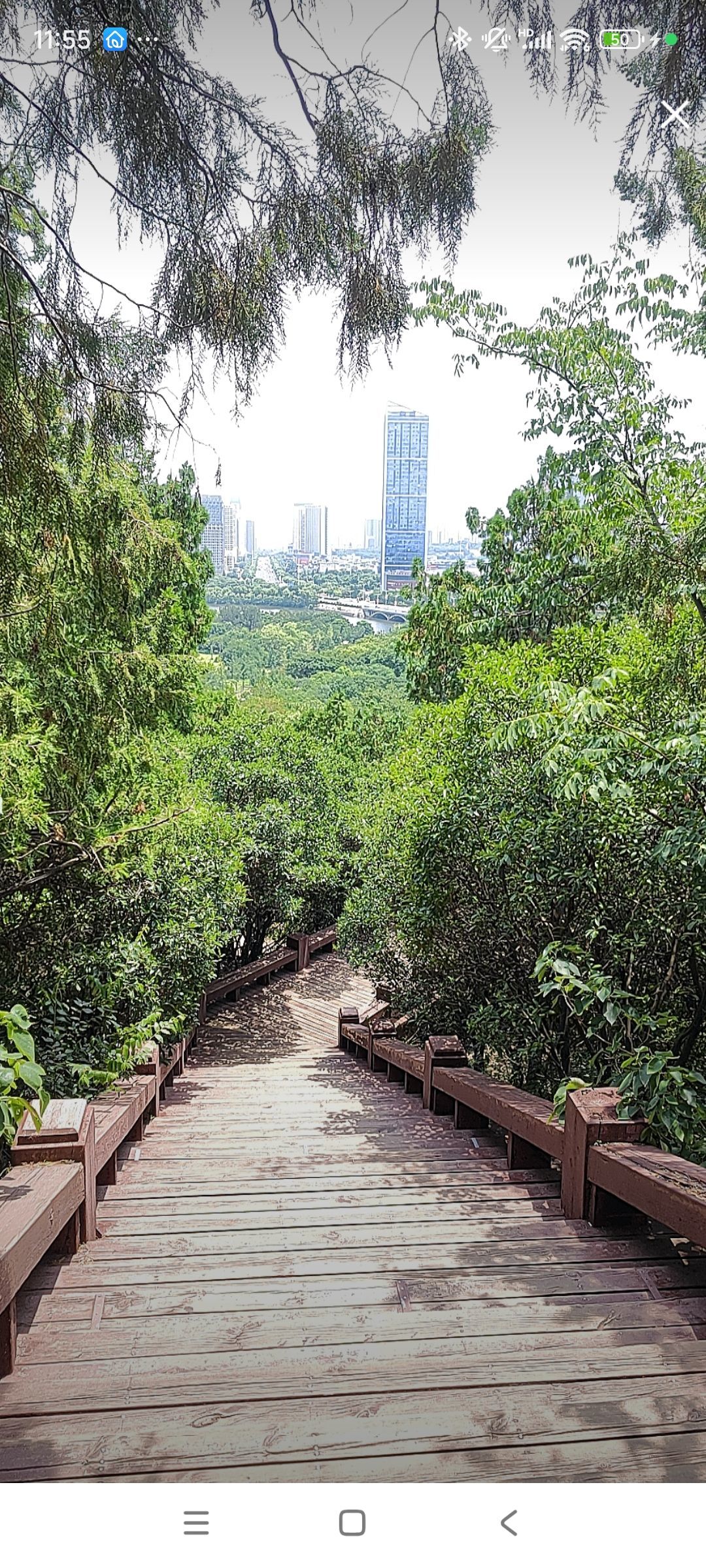 婷婷💕感恩有你陪伴的图片