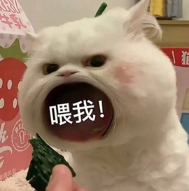 皖皖💰主播照片