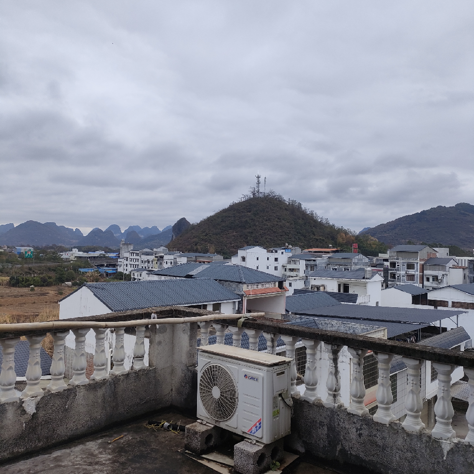 小虎呀1海报