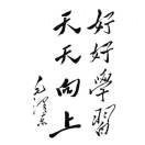 兜兜有米c