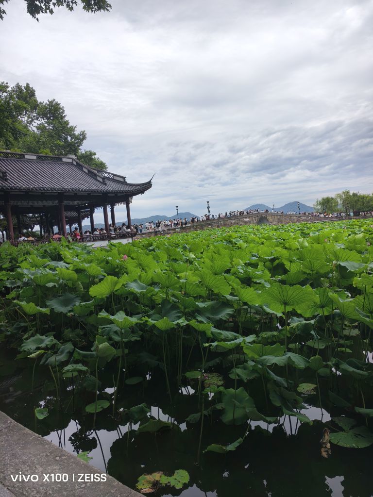 若惜✨星辰的图片