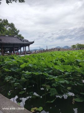 若惜✨星辰主播照片