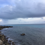 从海洋中来Br