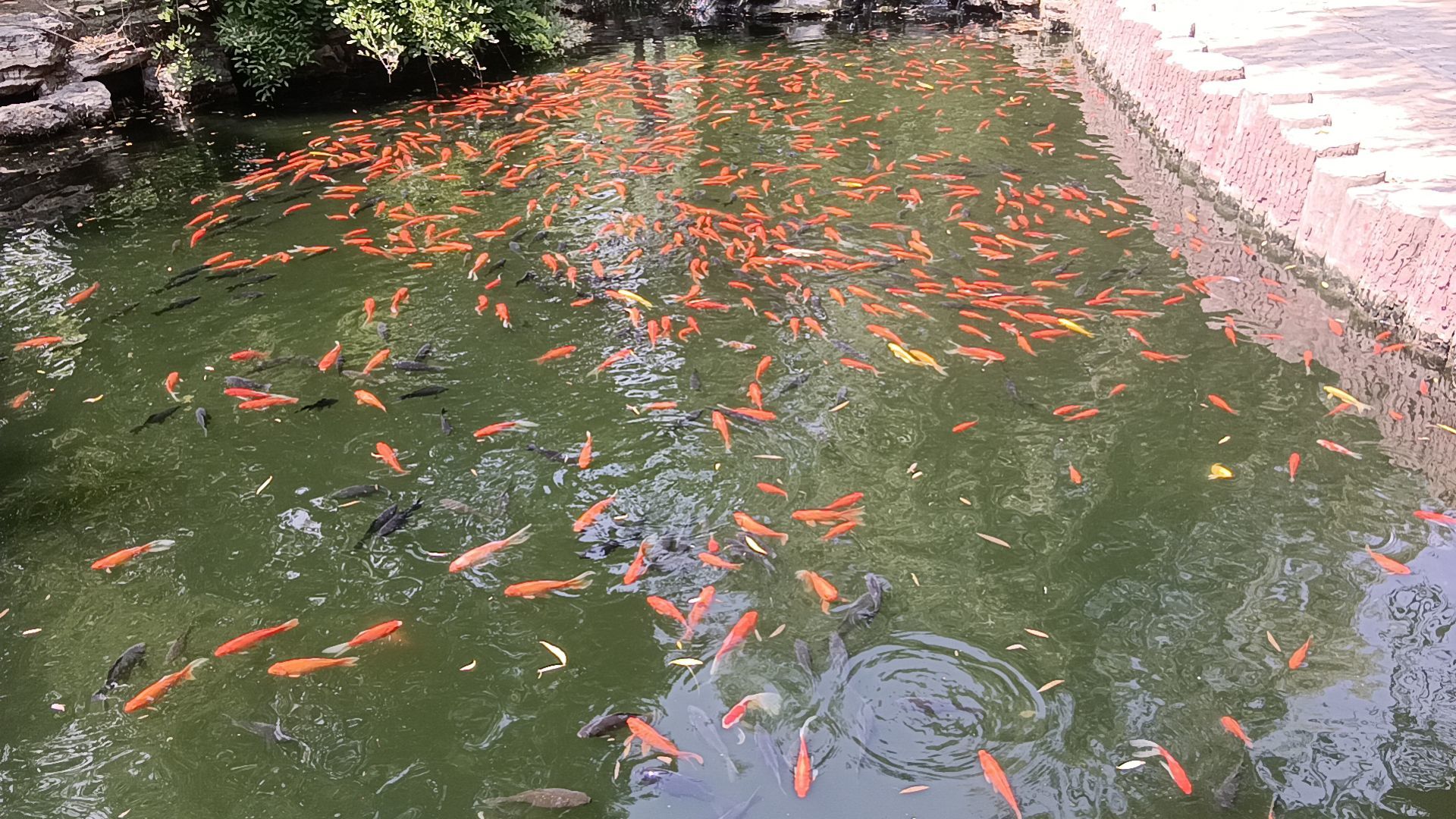 ～不帮忙-迷情二哥～的图片