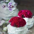 沙漠玫瑰🌹h