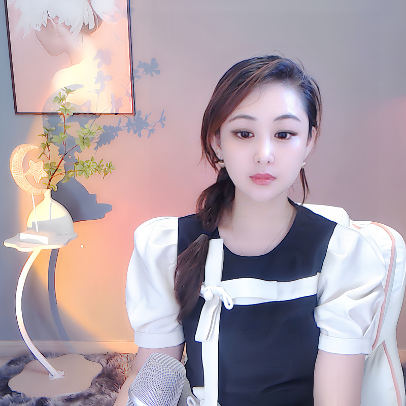 萌新小鑫鑫海报
