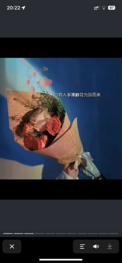 青竹的守护者海报
