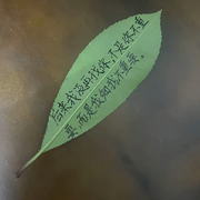 不能对一个人……