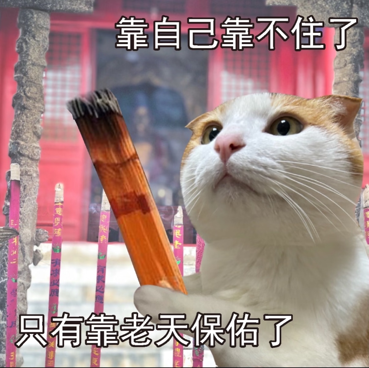 雨萌💕主播图片