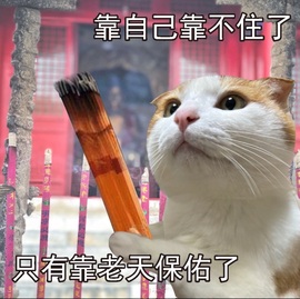 雨萌💕主播照片