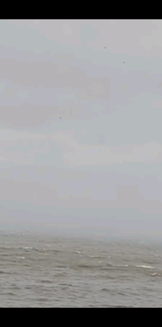 观看16次