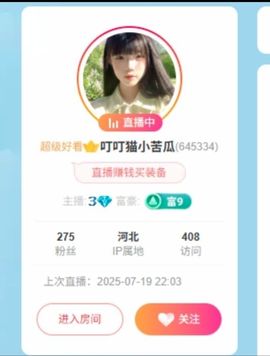 叮叮猫小苦瓜主播照片