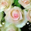 清☆楓的头像