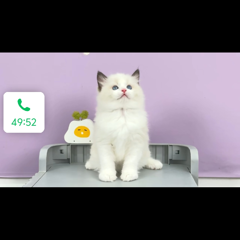 不能错的决定f*海报