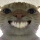 忘魂天灾