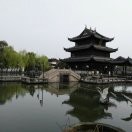 孺子牛37