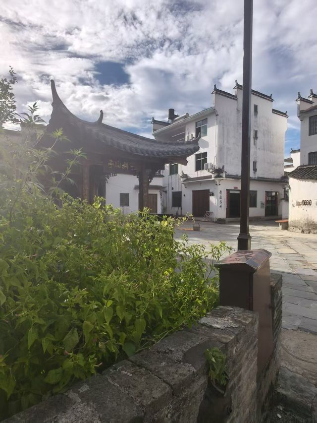 婷婷💕感恩有你陪伴的图片