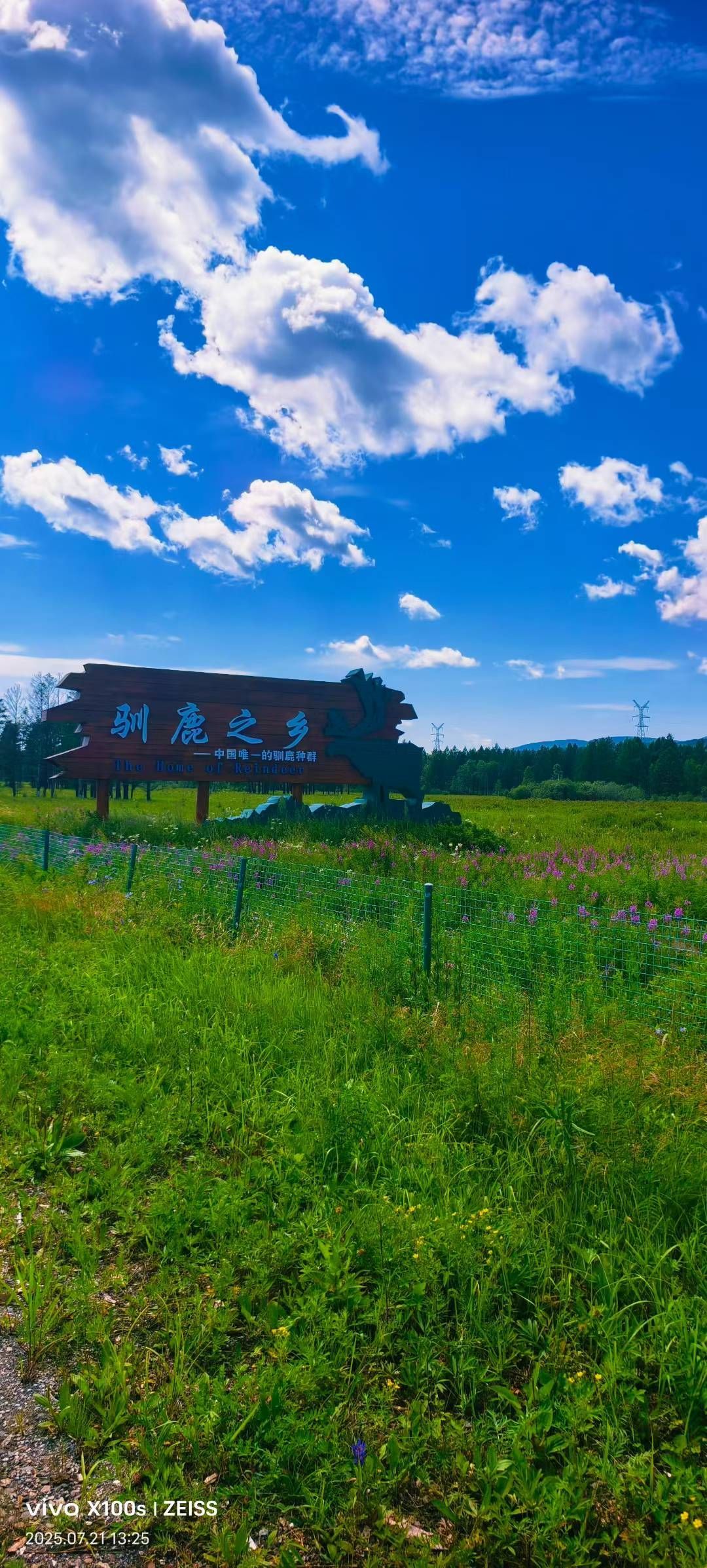 妞妞骑行宁夏银川的图片
