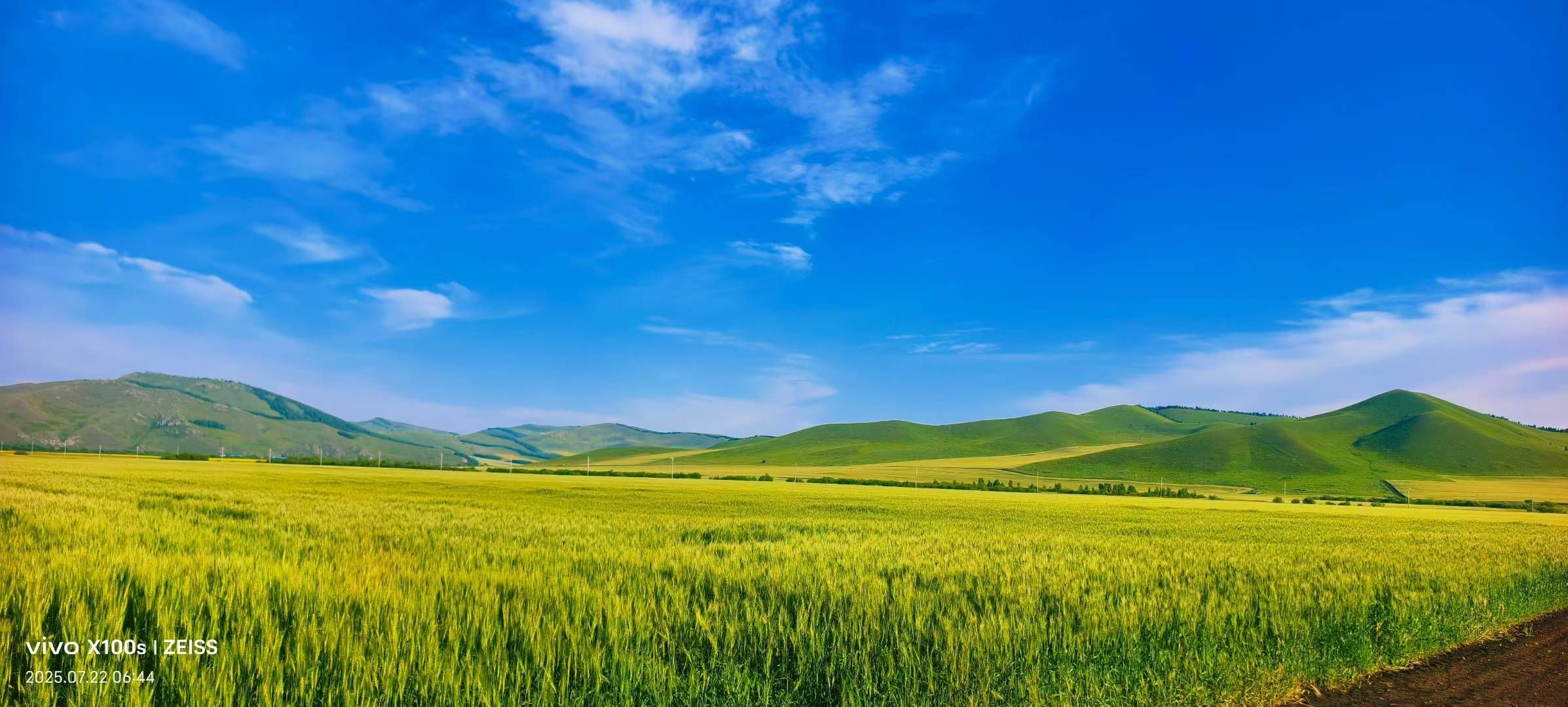 妞妞骑行宁夏银川的图片