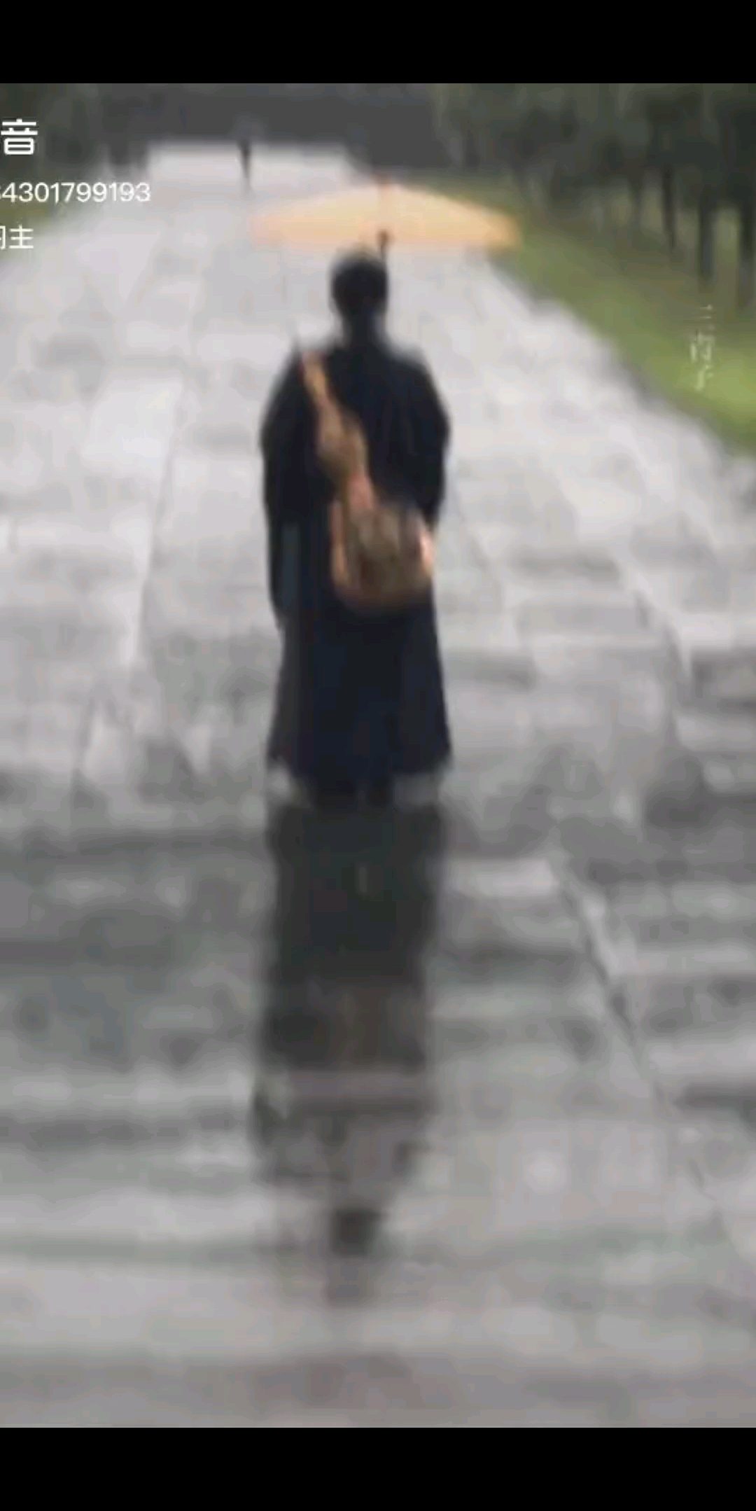 三青阁主