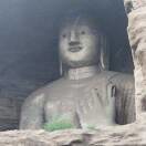 静家大人参