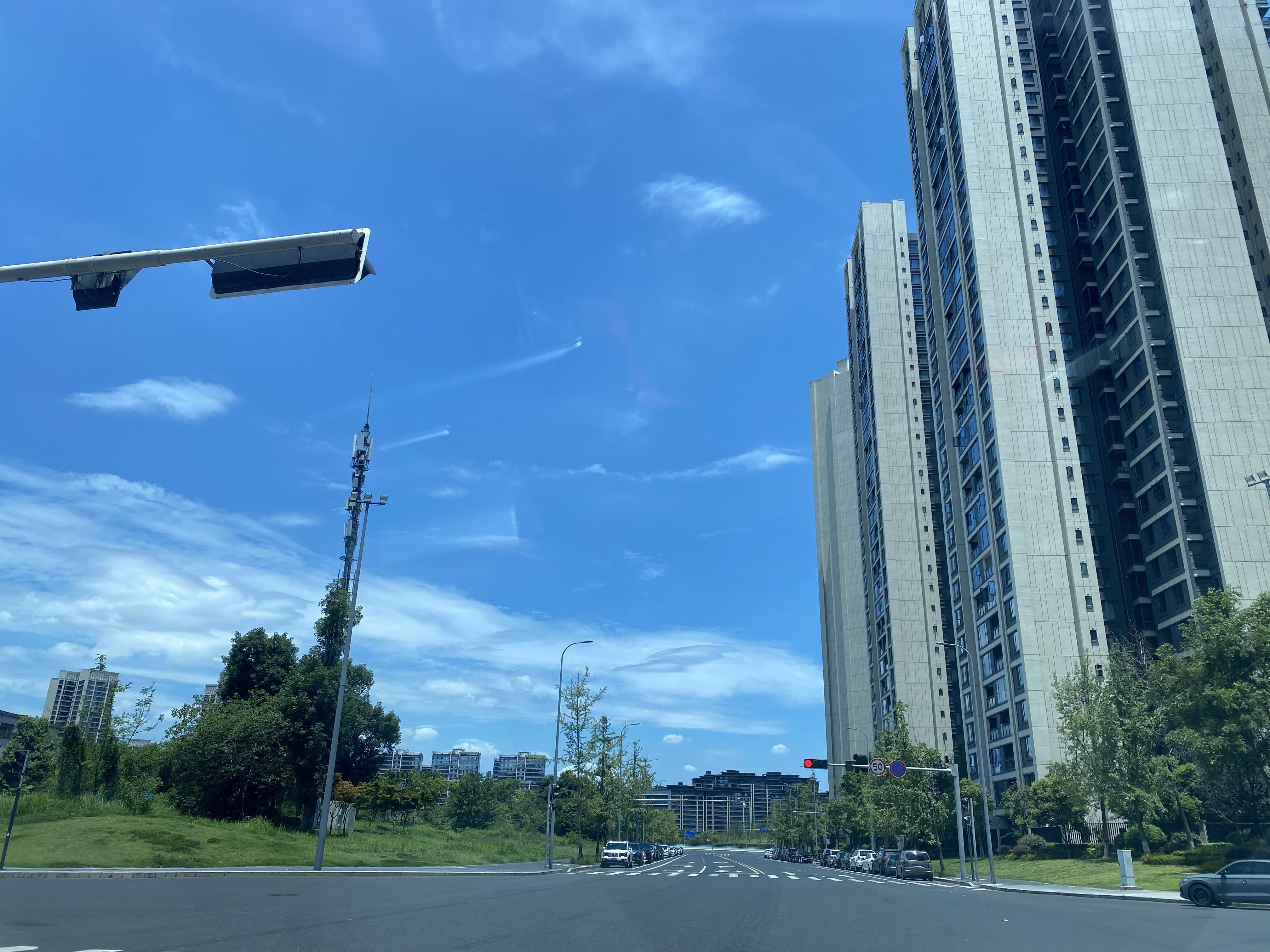 半糖”💕微甜~的图片