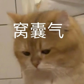 💗巧克力123主播照片
