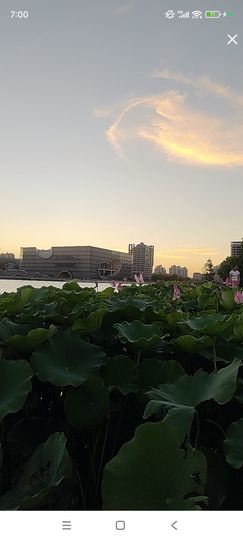婷婷💕感恩有你陪伴主播照片
