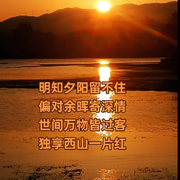 水尽浪轻ᴥᵔ头像