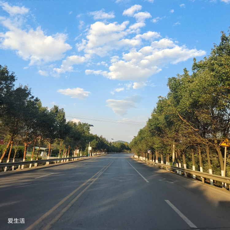 ☞鲲鹏☜海报