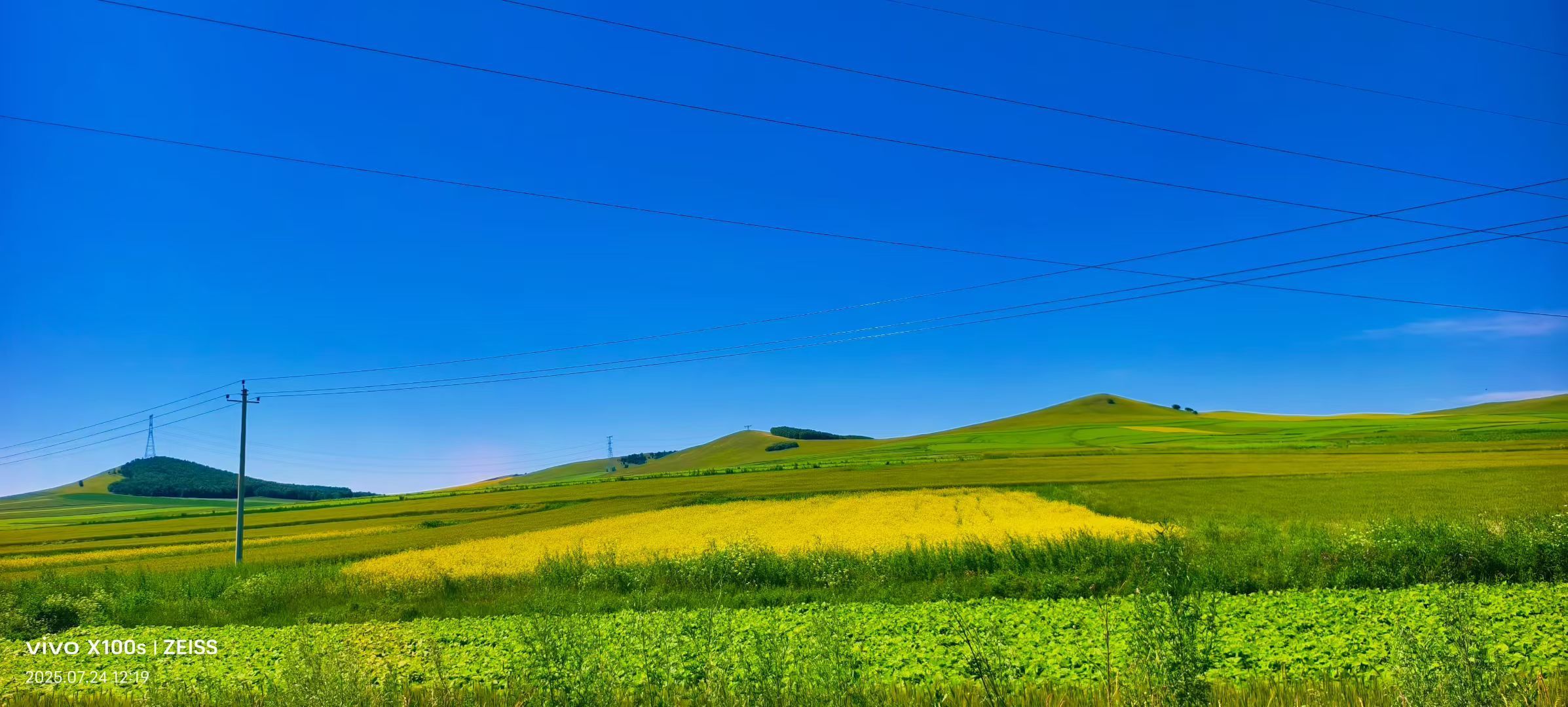 妞妞骑行宁夏银川的图片