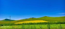 妞妞骑行宁夏银川主播照片