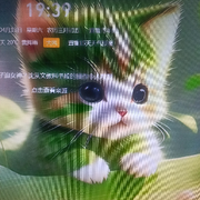 娃了一娃925