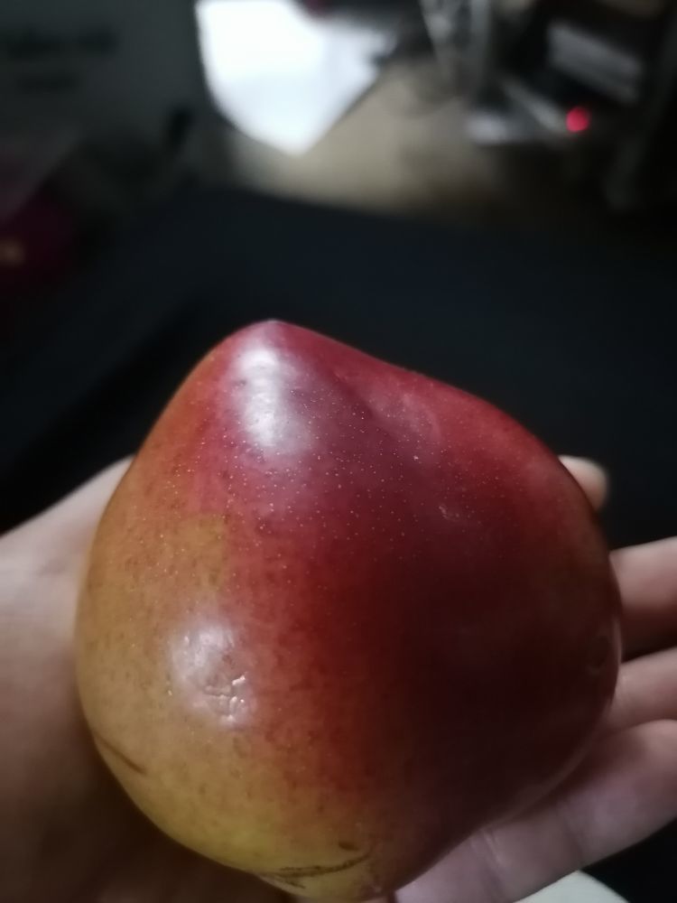 疯小鸭🍑愿有一束光的图片