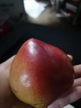 丑小鸭💞愿有一束光主播照片