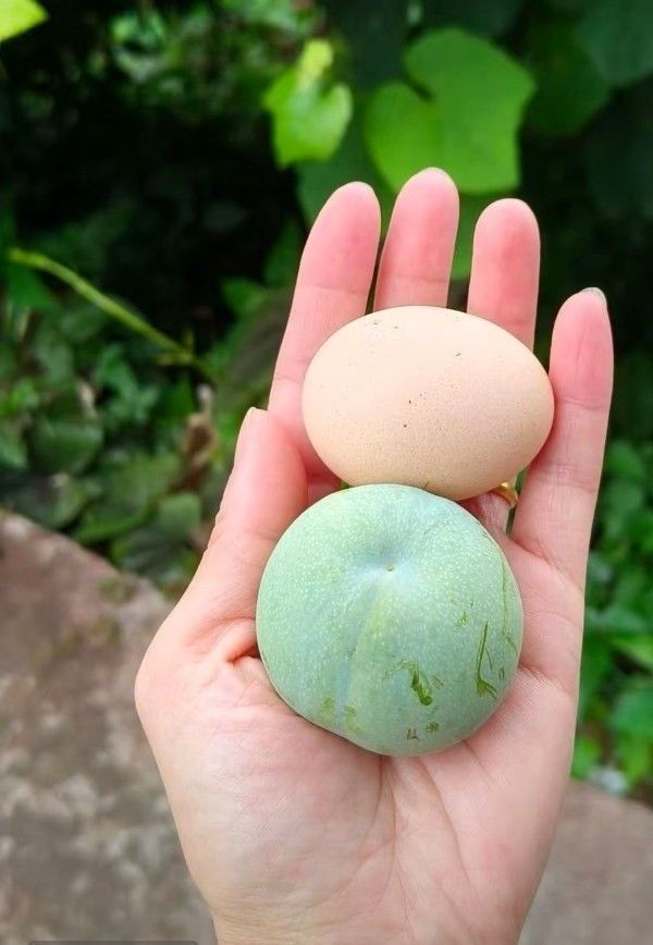 Awmpws李的主播照片