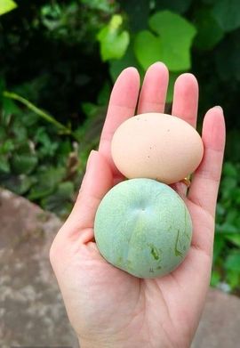 Awmpws李主播照片