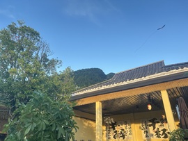 新人🍀团团主播照片