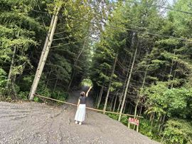 婷儿八月加油主播照片